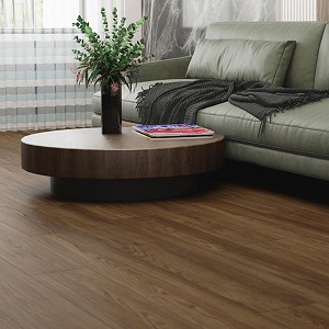 ShoreFlor